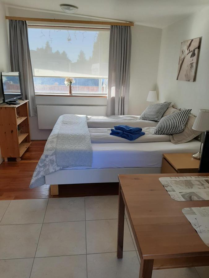 Bsg Apartments Сельфосс Екстер'єр фото